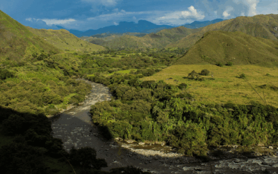 Donde nace el agua: caminar el Macizo Colombiano