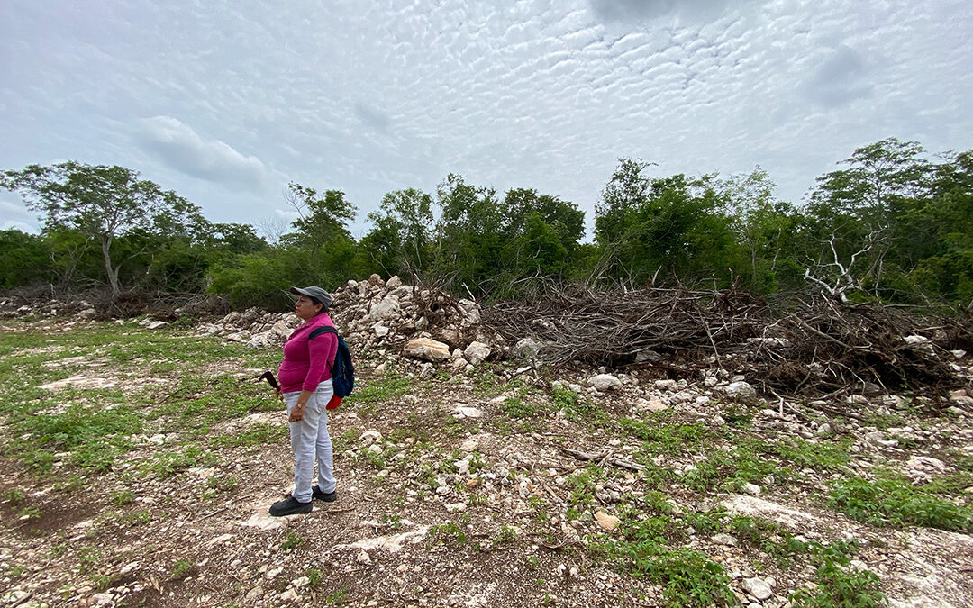 Megaproyectos y racismo en Misnebalam
