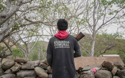 El derecho de vivir en paz