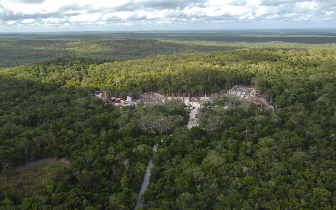 Corredor de la Gran Selva Maya: ¿conservación, militarización o instrumento para legitimar megaproyectos?