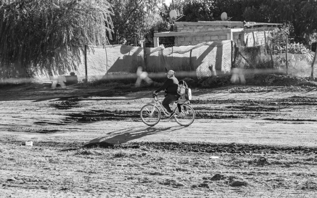 Semillas sin tierra: la generación condenada al ciclo de la agroindustria