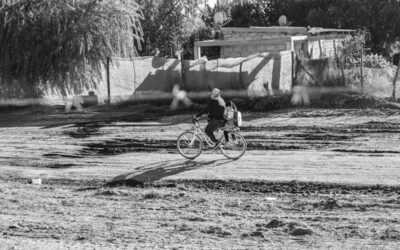 Semillas sin tierra: la generación condenada al ciclo de la agroindustria
