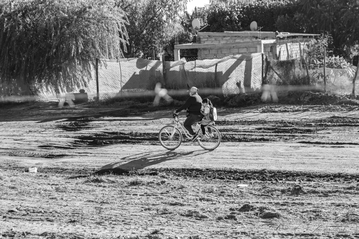 Semillas_Noviembre_2025_Alberto_Duarte_4