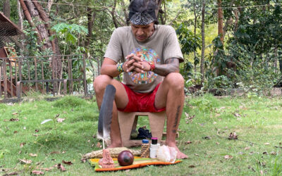 Yopo: ¿una medicina o una droga?