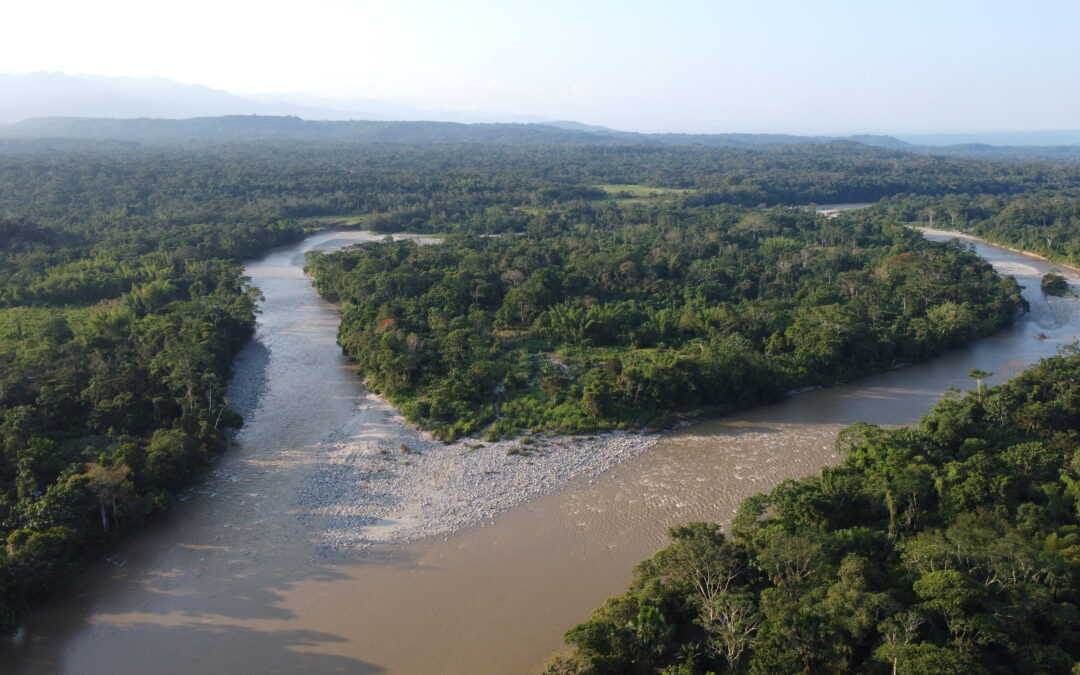 El «Nuevo Orden» de minerales críticos podría acabar con la Amazonía ecuatoriana