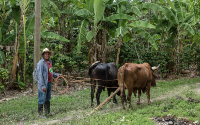 La lucha de clases está en toda Indoamérica