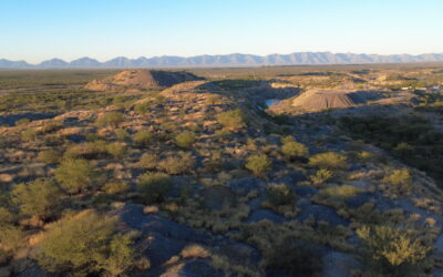 En el desierto, la esperanza florece