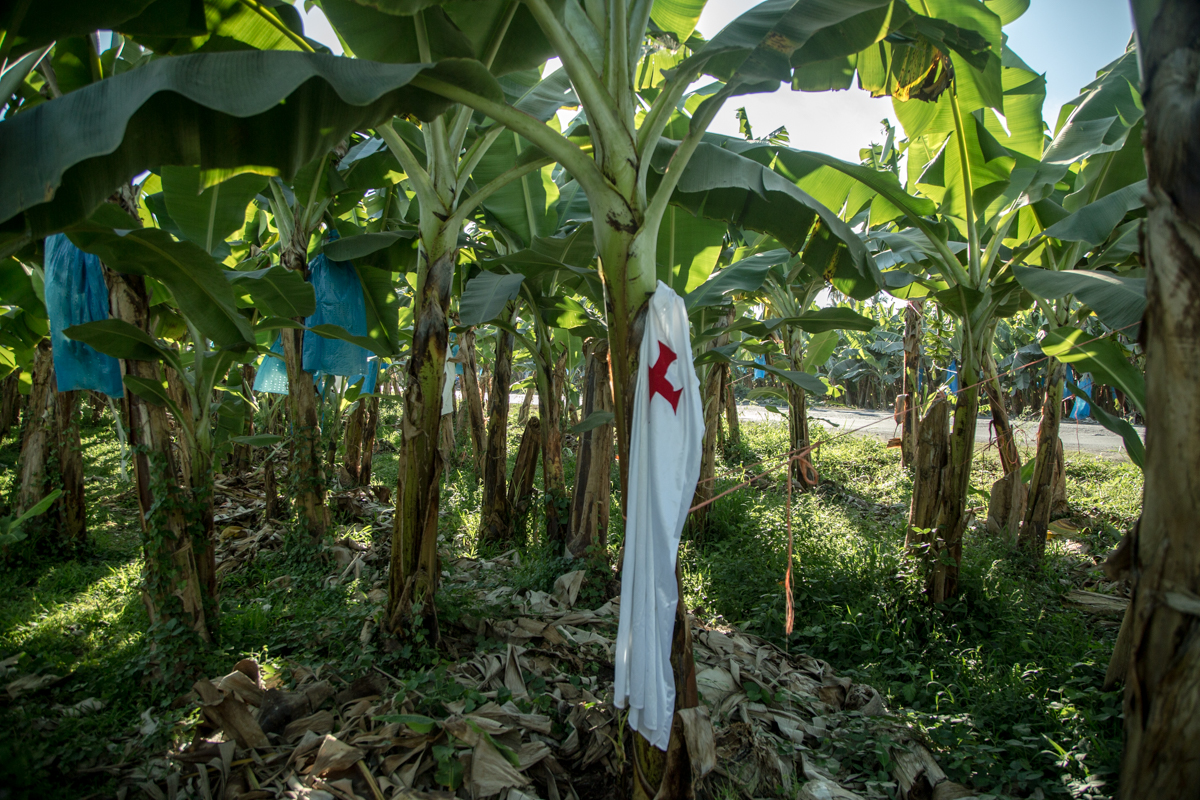 Seguridad_Michoacán_Febrero_2026_Heriberto Paredes_10