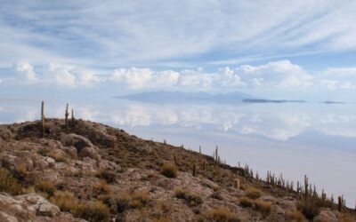 Transición energética: la disputa territorial por la vida en Abya Yala
