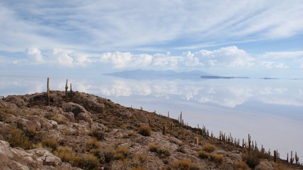 Transición energética: la disputa territorial por la vida en Abya Yala