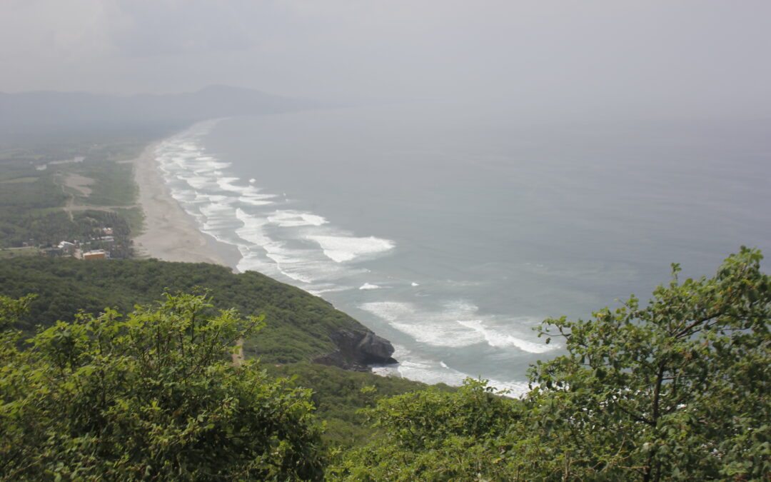 Cuando el territorio se defiende con la vida