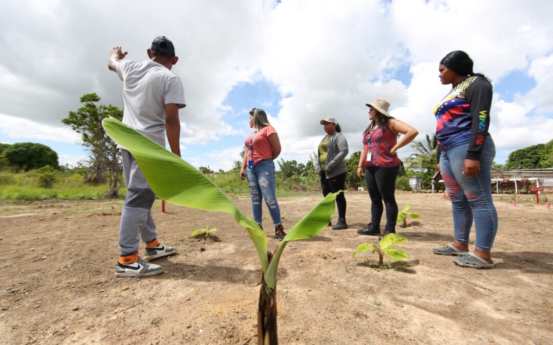 Venezuela: el reto de producir petróleo sin destruir los territorios