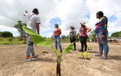Venezuela: el reto de producir petróleo sin destruir los territorios