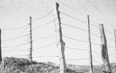 Historias de la tierra que hoy llamamos Brasil