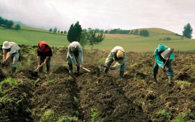 Lucha por la tierra en Venezuela: latifundio o comuna
