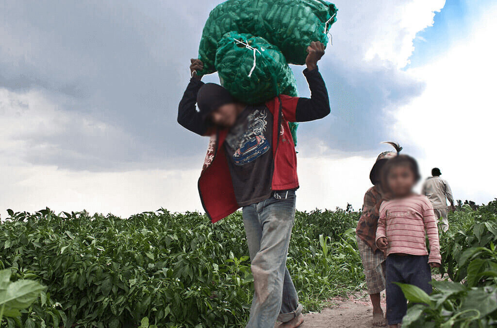 Infancia, trabajo y vulnerabilidad: un límite que se desdibuja