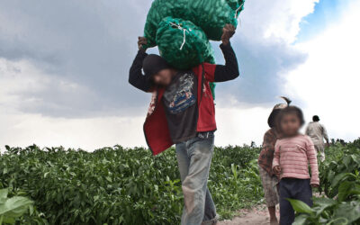 Infancia, trabajo y vulnerabilidad: un límite que se desdibuja