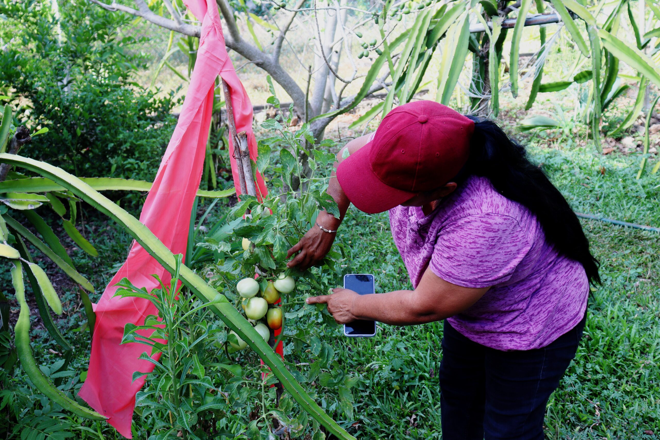 Flores_Laura_Mayo_2026_Alejandro_Ruiz_1