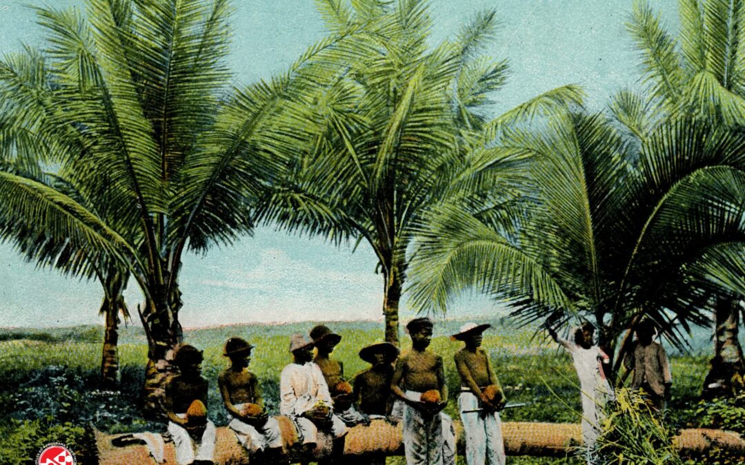 Negra, puertorriqueña y con tinta propia: el derecho a narrarnos