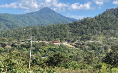 Comunales o privadas: la disputa por la tierra en Los Chimalapas