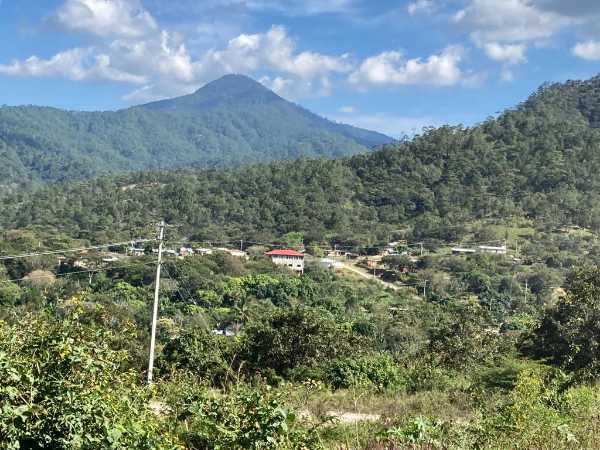 Comunales o privadas: la disputa por la tierra en Los Chimalapas